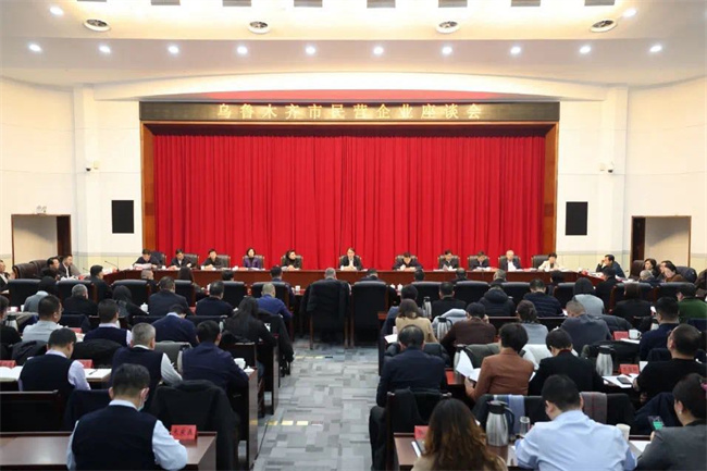 乌鲁木齐市民营企业座谈会召开