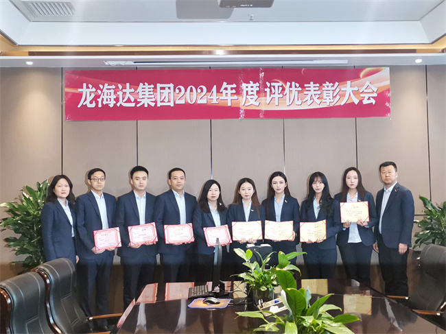 回首旧岁凝硕果，展望新程谱华章 ——龙海达集团2024年度评优