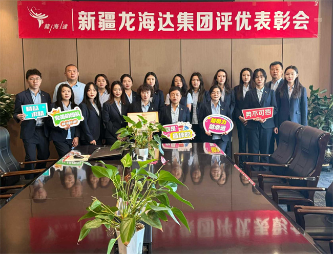 春潮澎湃启新程 凝心聚力再扬帆——龙海达集团 2026 年一季度评优表彰大会圆满举行